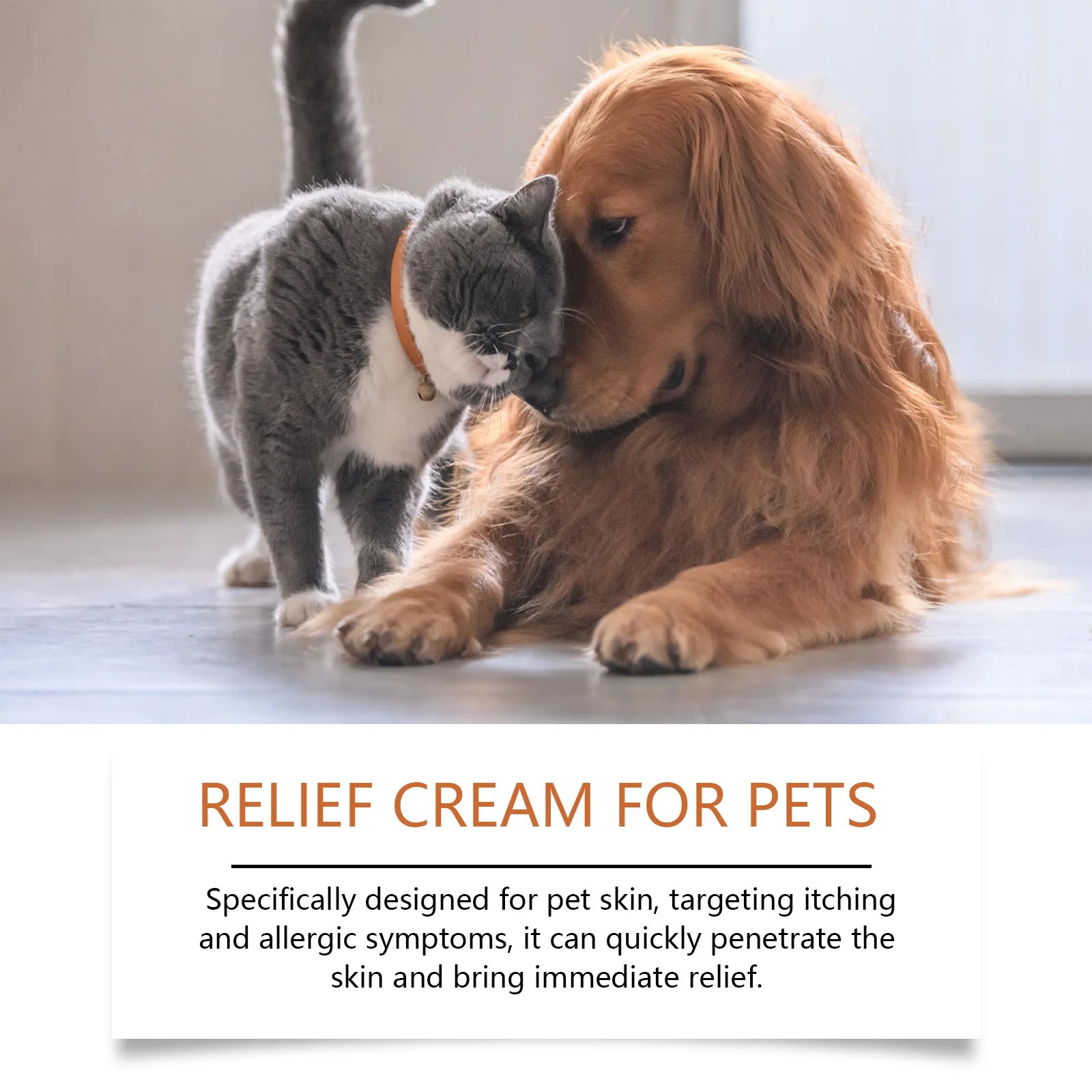 Yegbong Pet Skin Care Cream – Itch Relief & Ringworm Treatment for Dogs & Cats